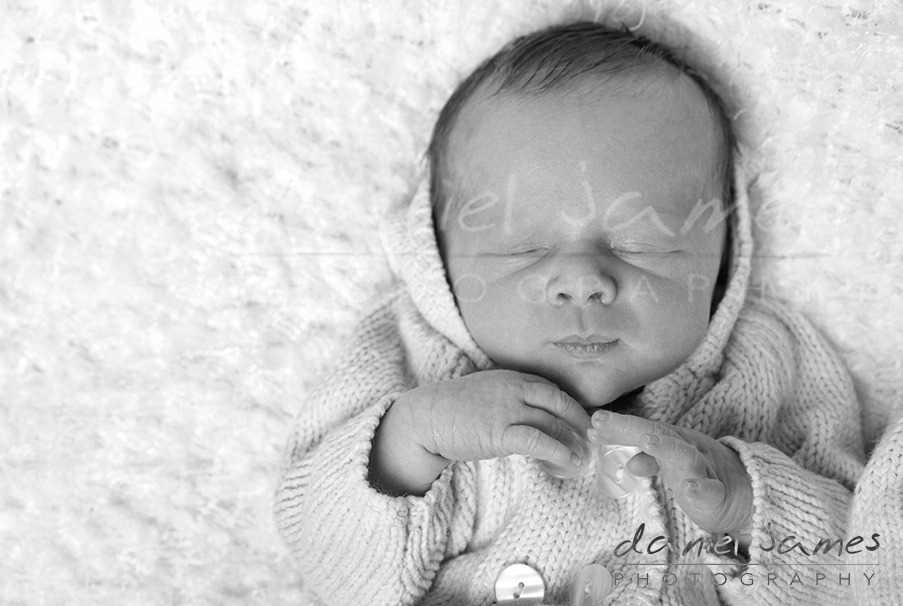 baby newborn portrait birmingham
