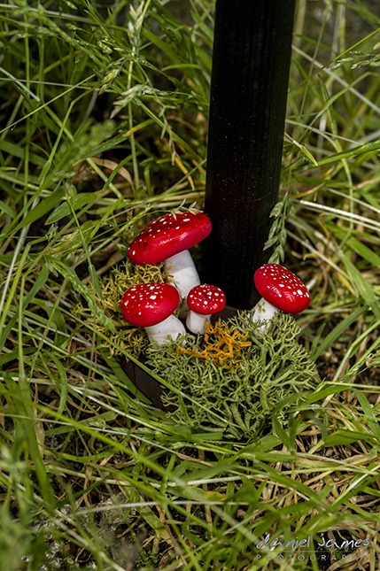 handmade miniature mushrooms