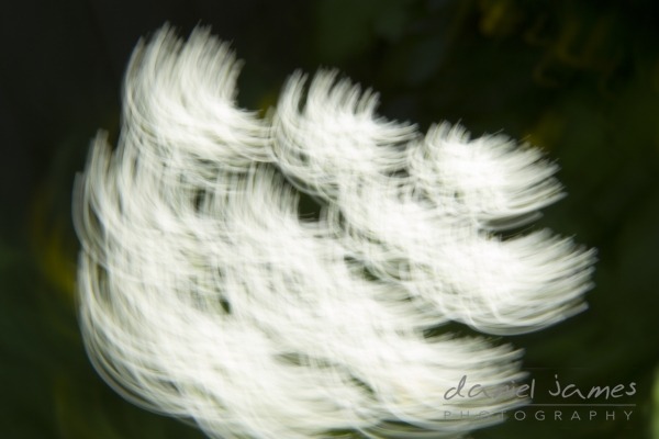 shutter speed example very blurred