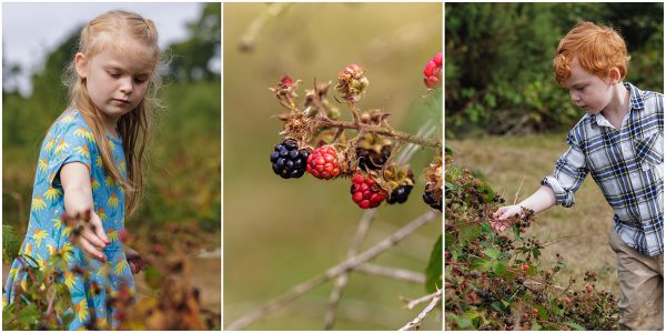 blackberry picking kinver edge photo shoot