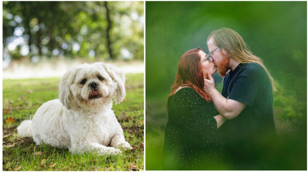 kinver edge photoshoot engagement